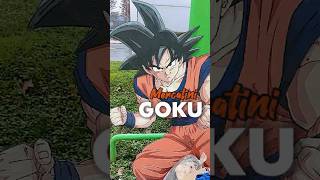 Goku e gameboy ai mercatini #videogiochi  #goku   #retrogames