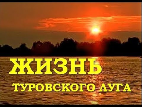 ЖИЗНЬ ТУРОВСКОГО ЛУГА | Документальный фильм | Уникальные съемки