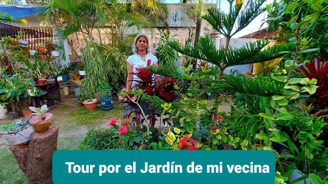 TOUR POR EL JARDIN DE MI VECINA MARINA || Mi Jardín En Casa✅