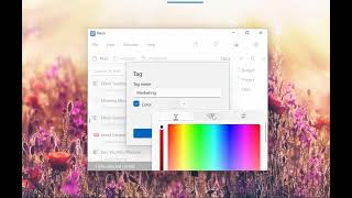 Windows: Tag files and folders and share those tags with other users using Filezo