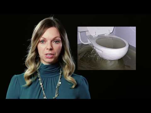 Starland Quick Tip Tuesday(Episode 1): How to stop an overflowing toilet.