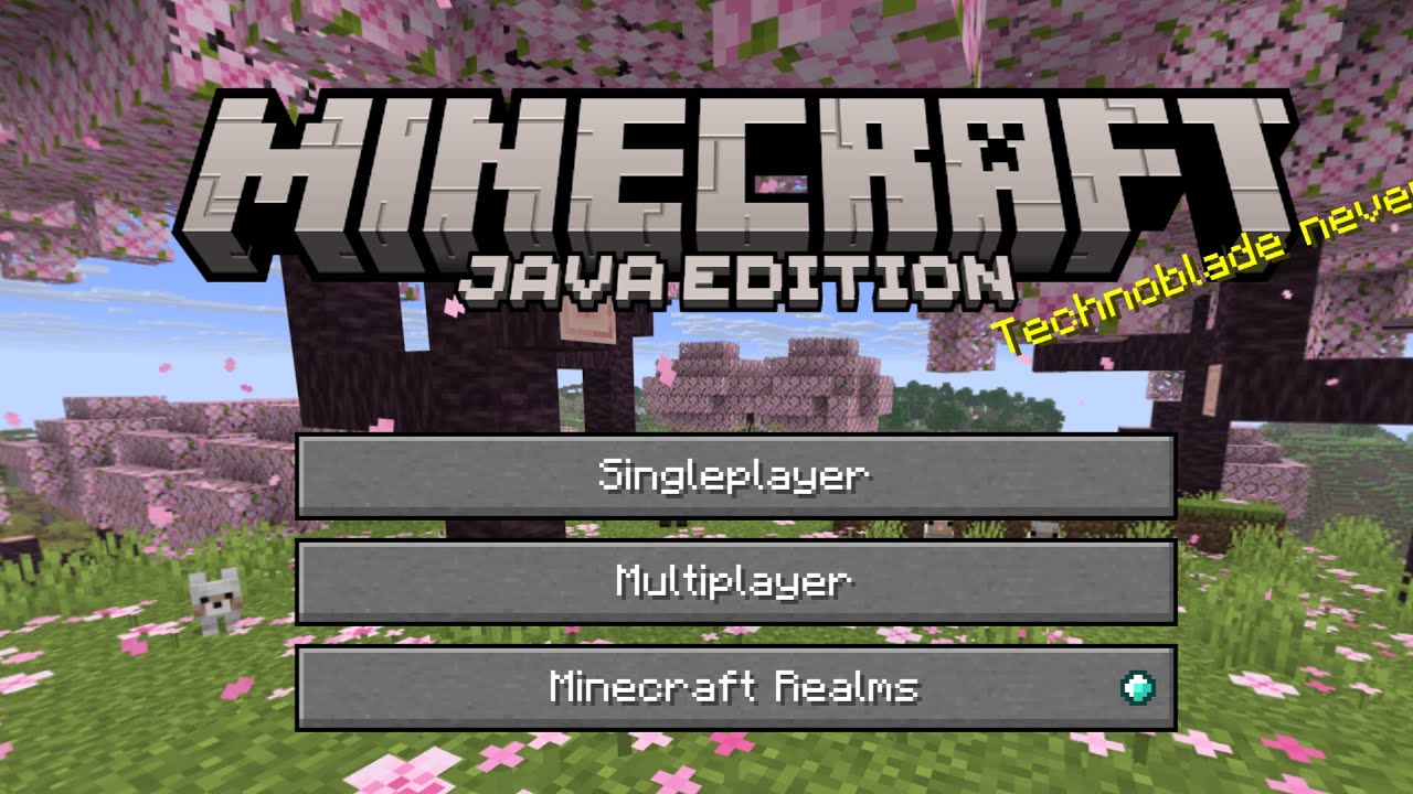 Playing Minecraft Java with viewers - YouTube