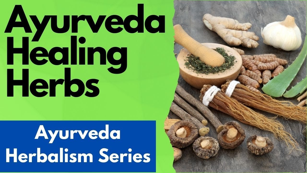Ayurveda Herbs Ayurveda Herbs List Best Ayurveda Herbs for Daily Use