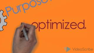 Netezza Assessment