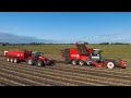 Potato🥔 &amp; Onion🧅 harvest 2023 | 2x *NEW* Dewulf Enduro