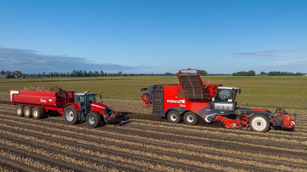 Potato🥔 & Onion🧅 harvest 2023 | 2x *NEW* Dewulf Enduro