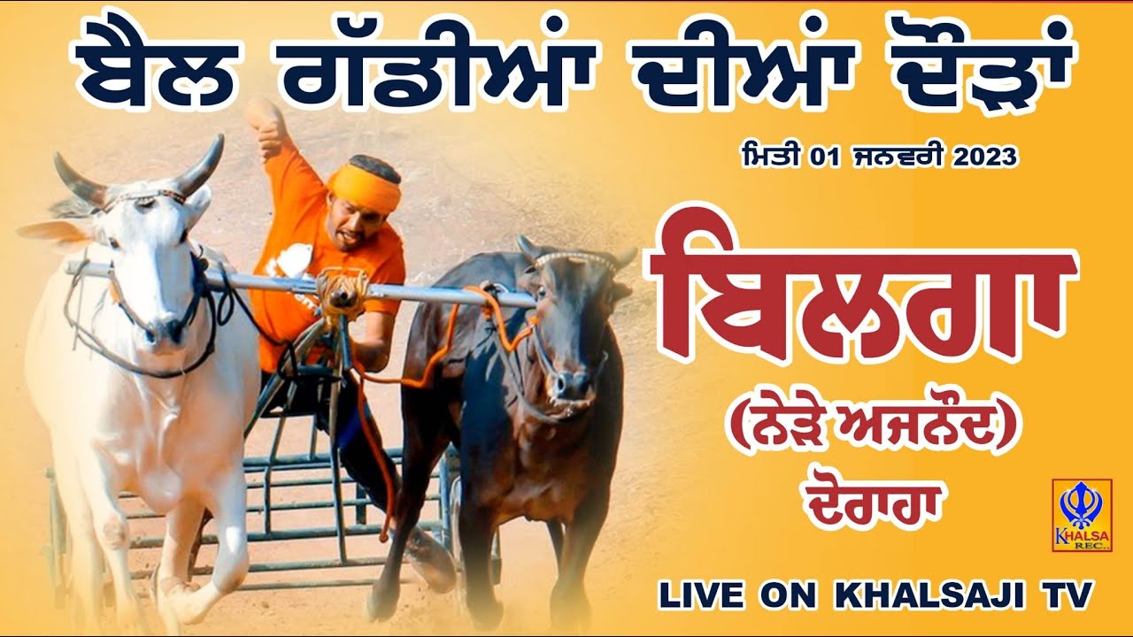 🔴[Live] Bilga Ajnod Ludhiana Ox Races 01 Jan 2022 YouTube