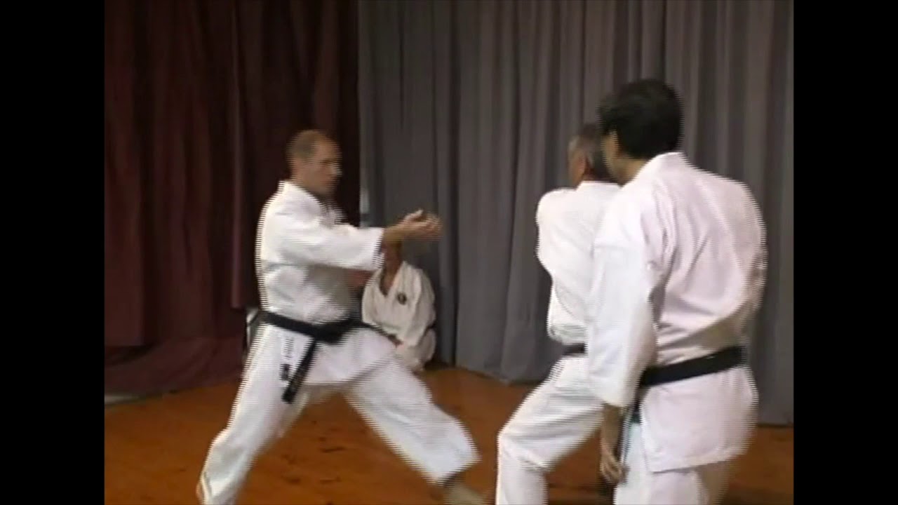 Karate Matsubayashi Bunkai Pinan Shodan & Kusanku YouTube
