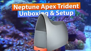 Neptune Apex Trident Setup