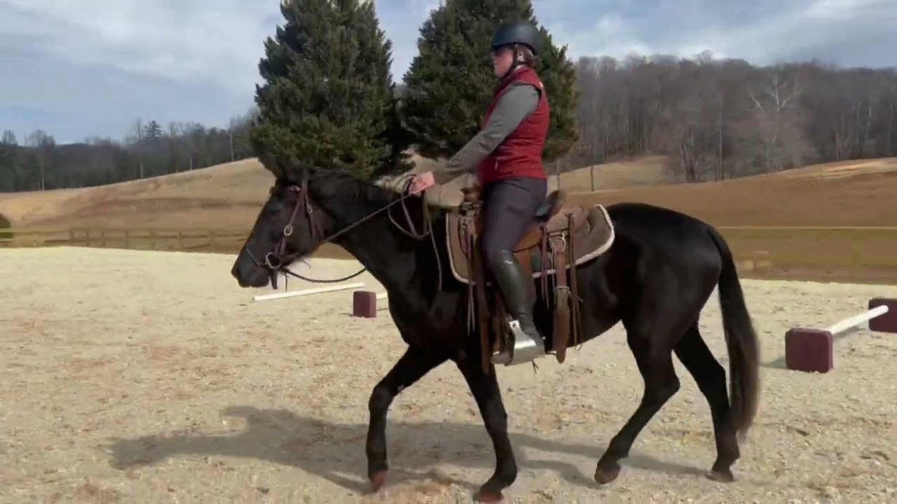 Lil 2/21/26 first time off property 