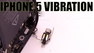 Sostituzione vibrazione iphone 5 vibrator replacement vibrator repair vibrator fix