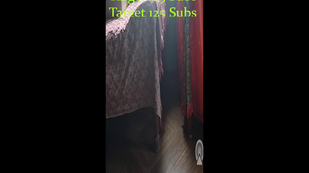 D12: A LAZY CATS #trending #cat #viral #music #catlife #funny #animallovers #shorts #shortsfeed