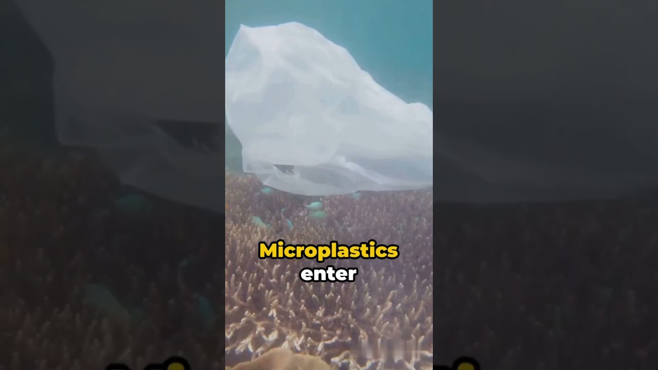 The Great Pacific Garbage Patch 🌊🗑️: A Sea of Plastic Pollution