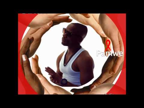 DIXON - Pamwe (Official Audio)