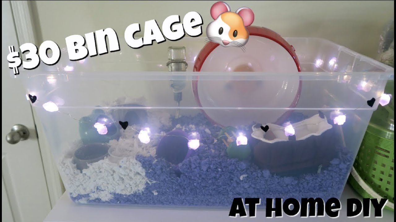 diy hamster bin cage