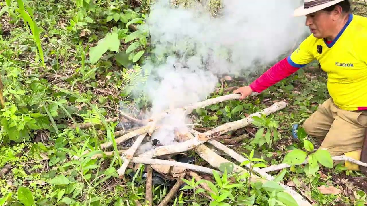 Choclos recién cosechados cocinados en fuego abierto