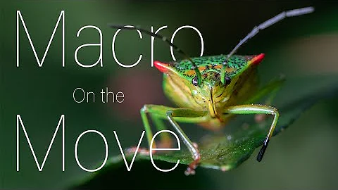 Macro photography: Quick, easy tips for better outdoor shots (lighting and composition ideas)