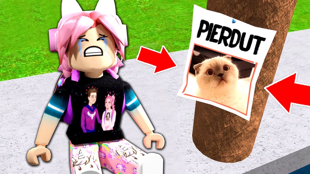 GASESTE PISICA PIERDUTA ! Unde este ?