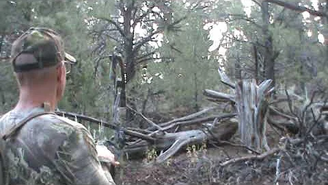 JACK AND DAN'S ELK HUNT