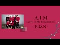 A.I.M (Alive In My Imagination)/B.Q.N【パート分け/日本語字幕/カナルビ】
