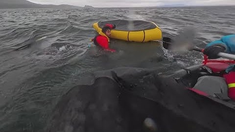 A humpback whale briefly swallows kayaker in Chilean Patagonia — and it's all captured on camera