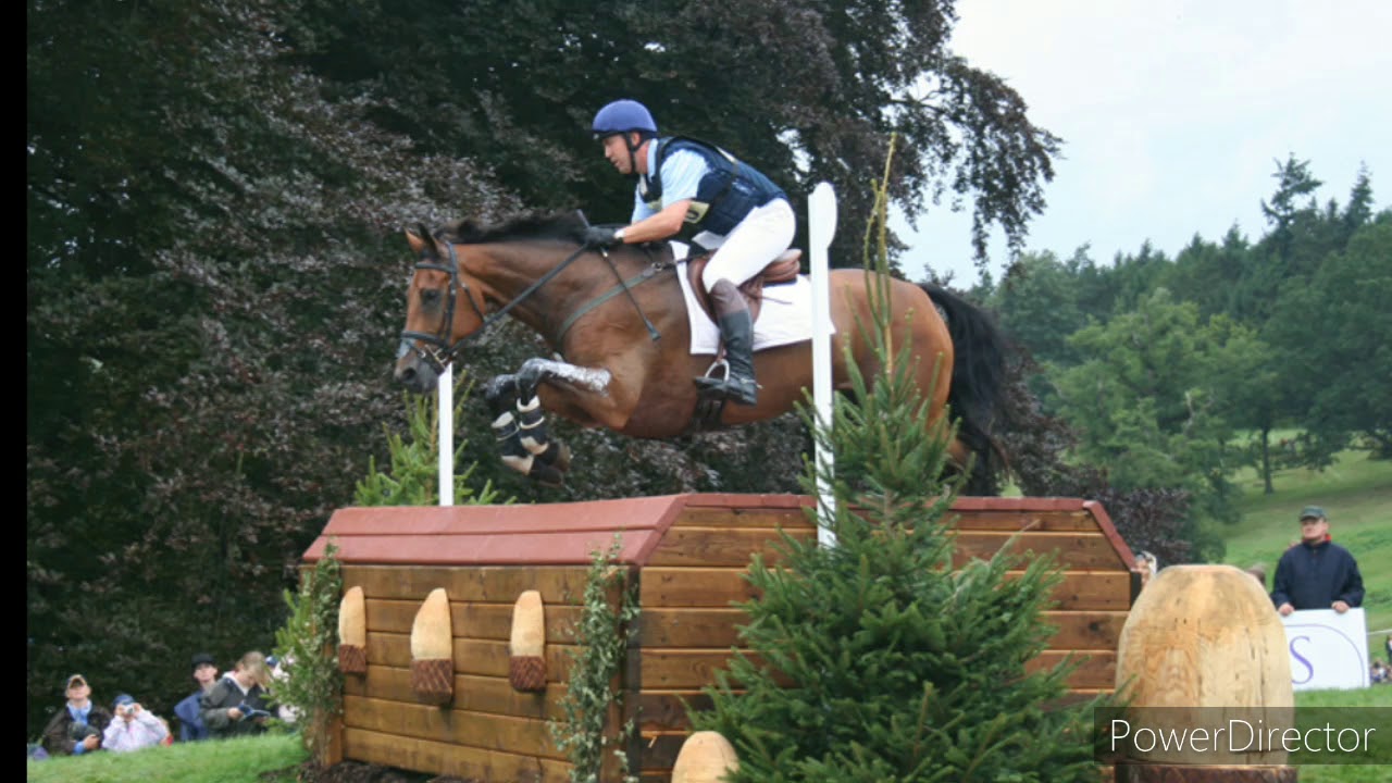 Improve your horse riding + Get your own horse(s) subliminal // 109 affirmations!