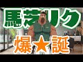 馬獣人Vtuber:馬芝リク「自己紹介するゾッ!」