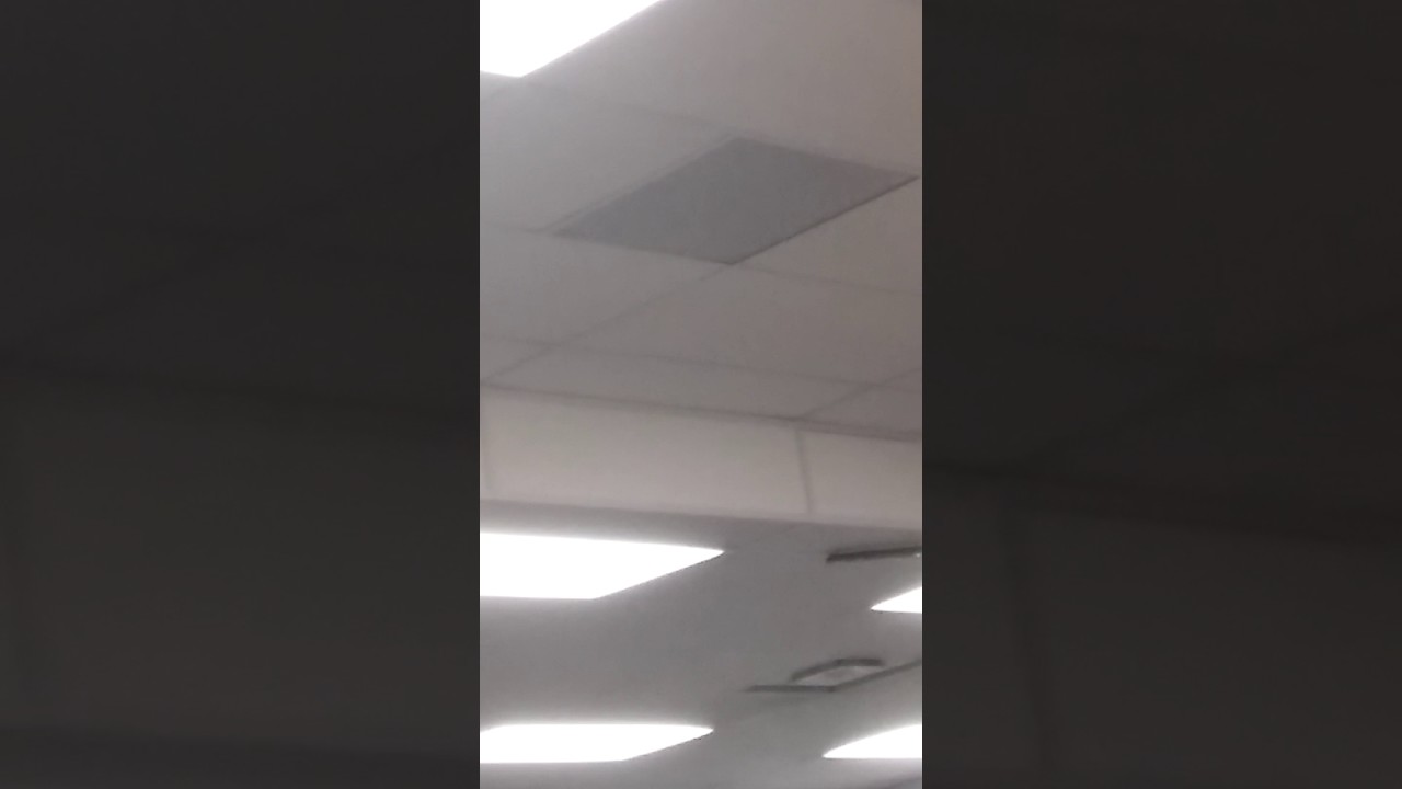 Rauland 2x2 LayIn Ceiling Speaker at Library YouTube