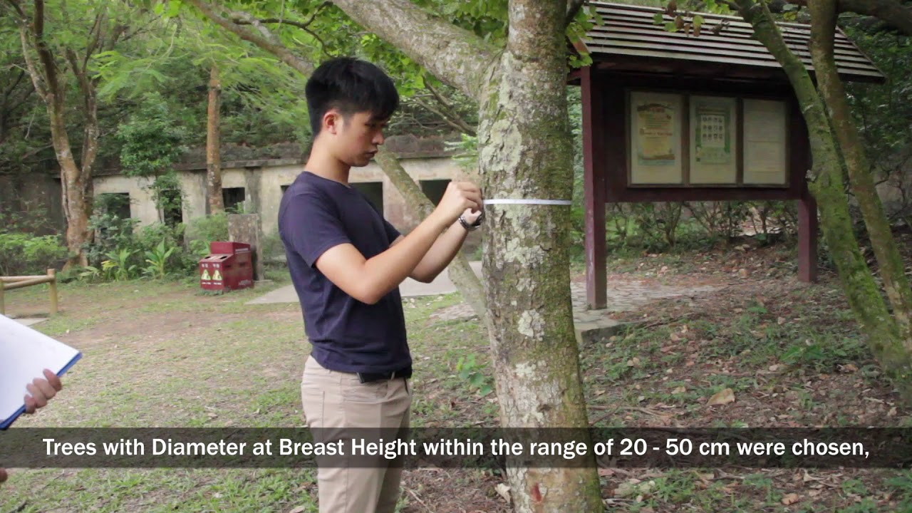 ENVS3019 Urban Ecology - Dead wood in urban ecosystem