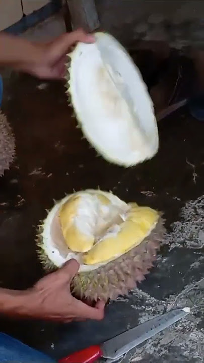 review durian bawor