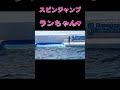 ランちゃんのスピンジャンプ大好き!(^^)! #Shorts #鴨川シーワールド #シャチショー #ラン  #kamogawaseaworld