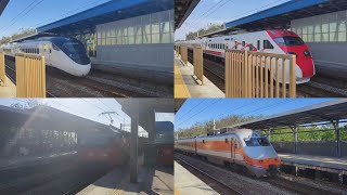 台鐵 新富站 四種自強 通過速度比較（E1000 E500 EMU3000 TEMU2000）