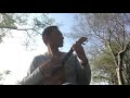 ハンバートハンバート/虎 ウクレレ弾き語り カバー