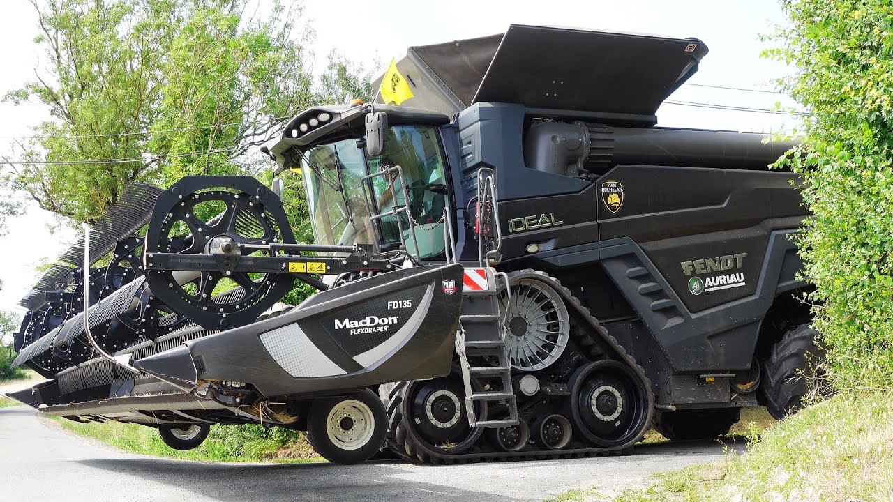 Du Jaune et Noir dans l'Orge de Charente-Maritime ! ETA PETORIN
