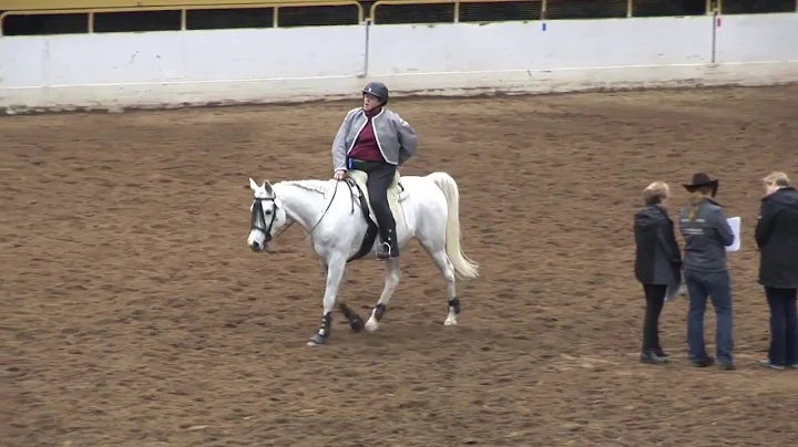 Karen Burch & Ashke Working Equitation Expo 2017