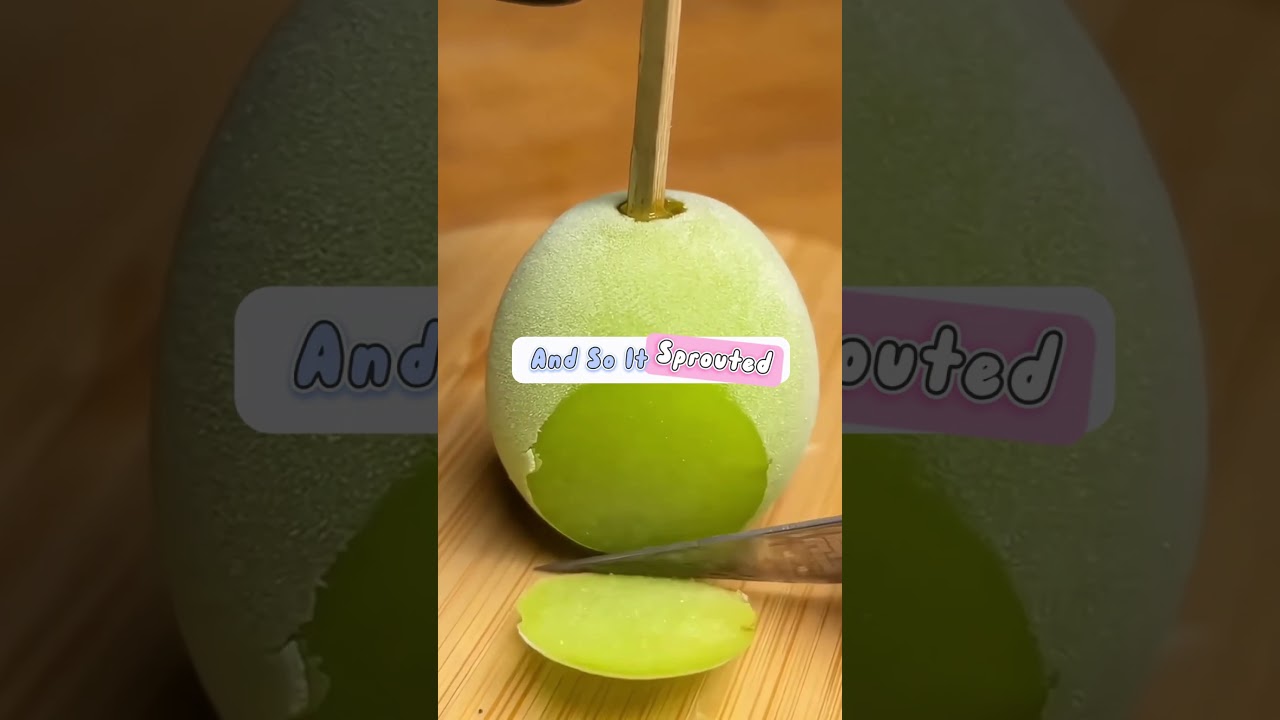 Those who take risks to grow will survive, but those who hesitate may be left behind. 