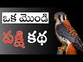 This Tiny Bird Will Inspire You | Motivational Video | Voice Of Telugu