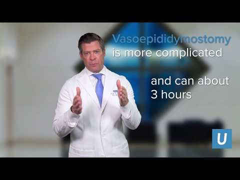 How long does a vasectomy reversal take? - Jesse Mills, MD | UCLA Urology