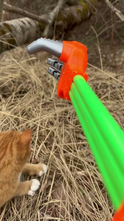 Робо-рука и кот Барсик #шортс#shorts#cat#кот#рыжийкот#роборука - YouTube