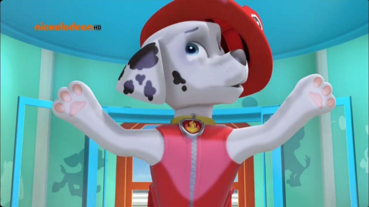 FUNNY MOMENTS IN THE ELEVATOR 1 SEASON PAW Patrol YouTube