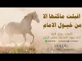شيلة اقبلت ماكنها الا من خيول الإمام اداء صوت الفخامه متعب الخيل جديد2023 حصريا 