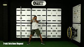 SpinWall Exercise - Trunk Rotations Diagonal from low