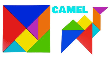 Animal Tangram Puzzle for Children - Fun & Educational Video for Kids