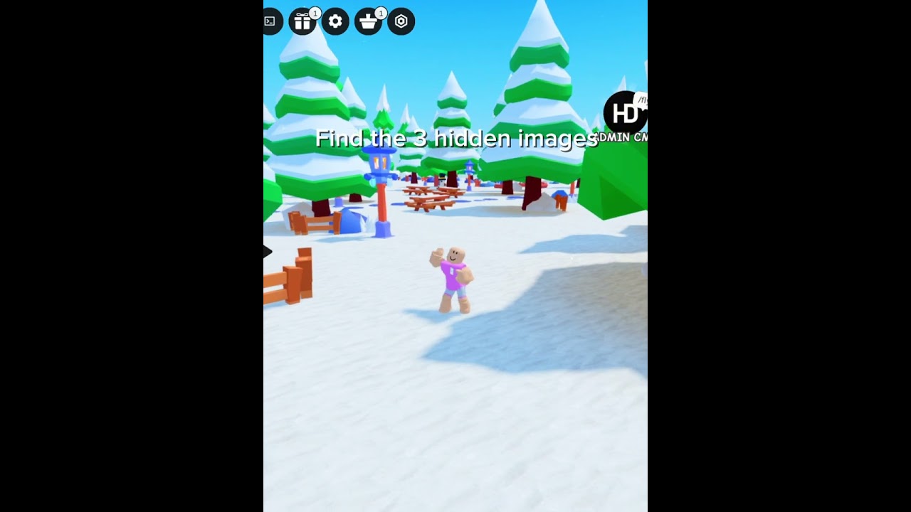 Find 3 hidden images