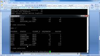 Data Guard - Performing Role Transitions
