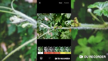 Editing Tutorial with VSCO and Snapseed