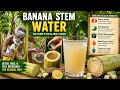 Secret Benefits of Banana Tree in Water 