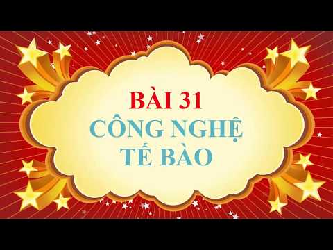Video Sinh học lớp 9 - Bài 31 - Công nghệ tế bào - YouTube