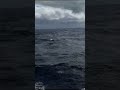 Respect For The Sea