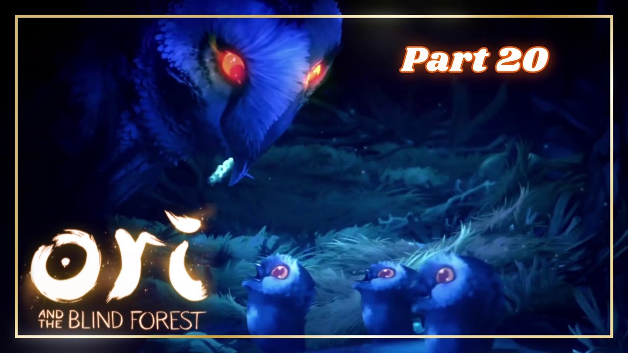 Kuros Nest und Motiv entdeckt 